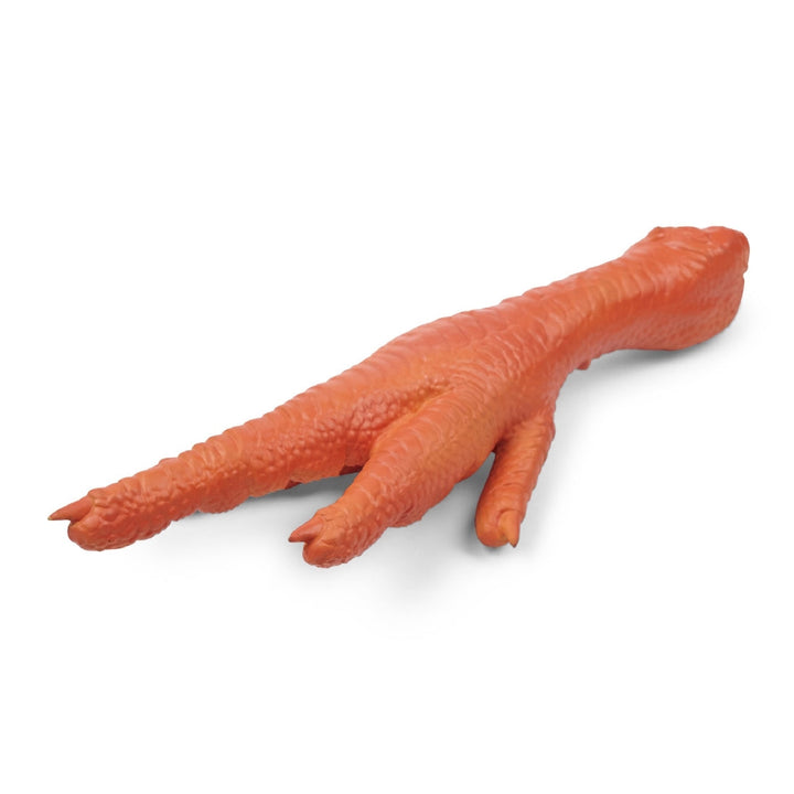 Kazoo Dog Toy Latex Chicken Foot Medium-Dog Toys-Ascot Saddlery