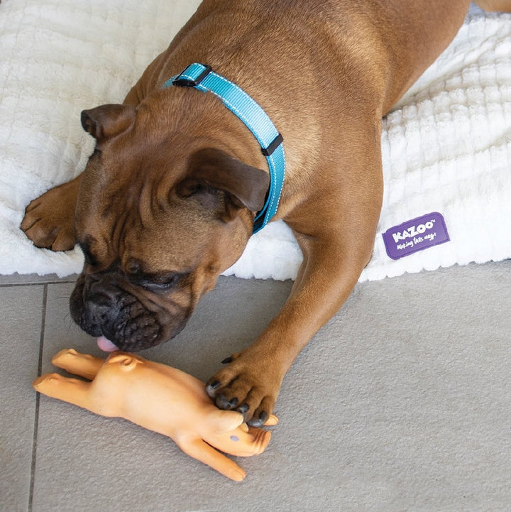Kazoo Dog Toy Latex Pig-Dog Toys-Ascot Saddlery