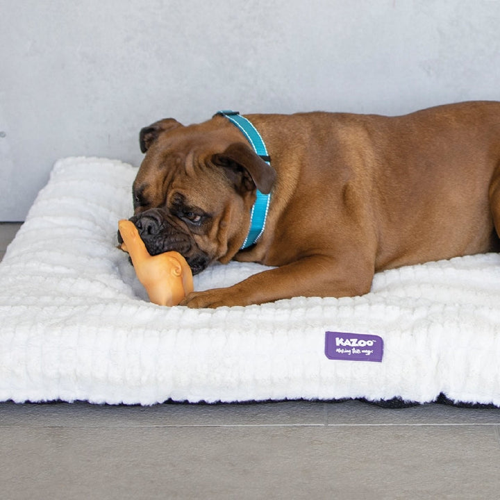 Kazoo Dog Toy Latex Pig-Dog Toys-Ascot Saddlery