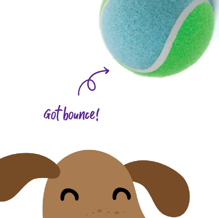 Kazoo Dog Toy Tennis Ball-Dog Toys-Ascot Saddlery