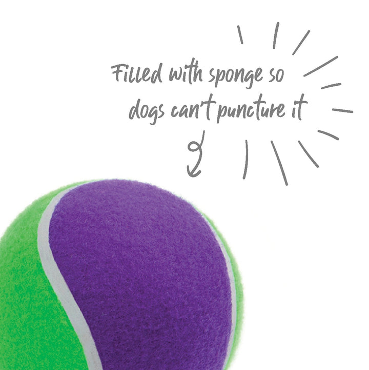 Kazoo Dog Toy Tennis Ball-Dog Toys-Ascot Saddlery