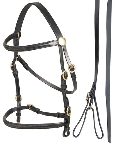 Led In Bridle & Lead Leather Aintree Black-HORSE: Bridles-Ascot Saddlery