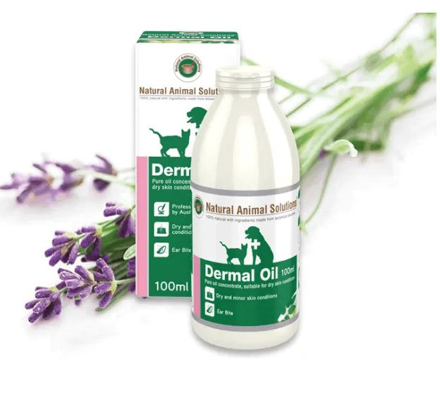 Natural Animal Solutions Dermal Oil 100ml-Dog Potions & Lotions-Ascot Saddlery