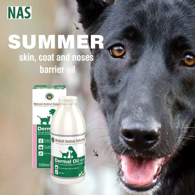 Natural Animal Solutions Dermal Oil 100ml-Dog Potions & Lotions-Ascot Saddlery
