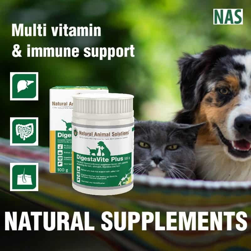 Natural Animal Solutions Digestavite Plus 100gm-Dog Potions & Lotions-Ascot Saddlery