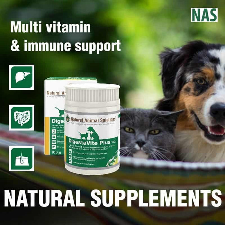Natural Animal Solutions Digestavite Plus 100gm-Dog Potions & Lotions-Ascot Saddlery