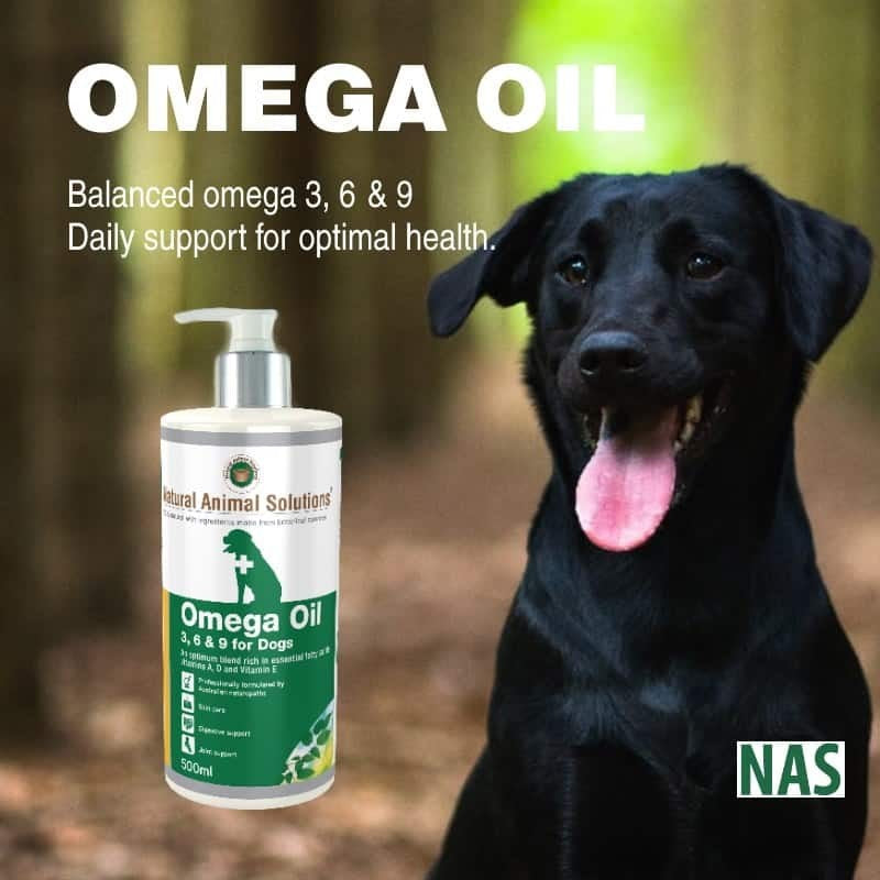 Natural Animal Solutions Omega Dog 500ml-Dog Potions & Lotions-Ascot Saddlery