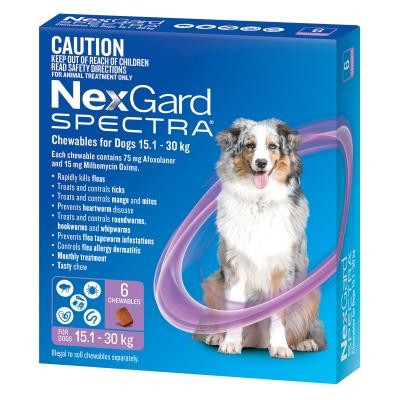 Nexgard Spectra Dog 15.1kg-30kg 6 Pack-Dog Wormer & Flea-Ascot Saddlery