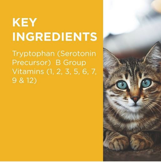 Paw Complete Calm Cats 63 Chews 75gm-Cat Potions & Lotions-Ascot Saddlery