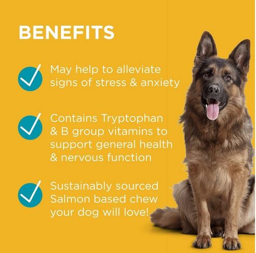 Paw Complete Calm Mini 30 Chews 75gm-Dog Potions & Lotions-Ascot Saddlery