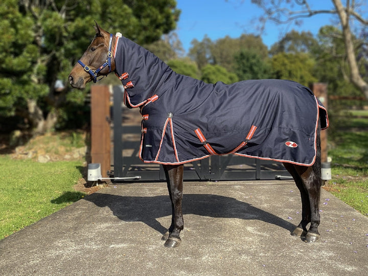Pioneer 200 Combo Zilco-RUGS: Winter Rugs, Neck Rugs & Hoods-Ascot Saddlery