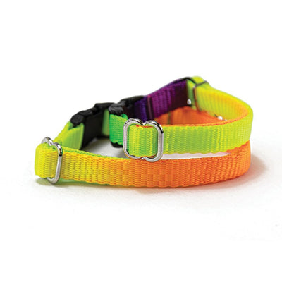 Prestige Cat Collar Rainbow 3/8" Adjustable 13cm-25cm-Cat Accessories-Ascot Saddlery