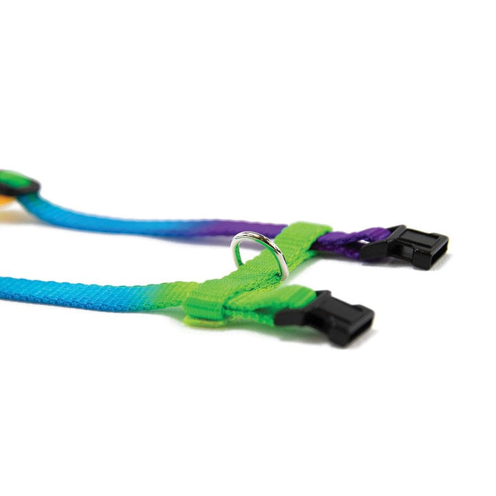 Prestige Cat Harness & Leash Rainbow 3/8" Adjustable-Cat Accessories-Ascot Saddlery
