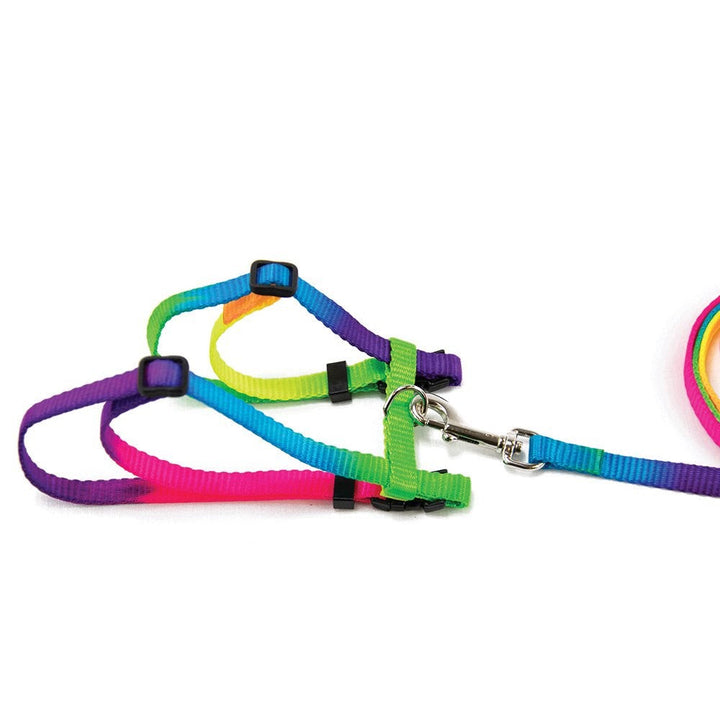 Prestige Cat Harness & Leash Rainbow 3/8" Adjustable-Cat Accessories-Ascot Saddlery