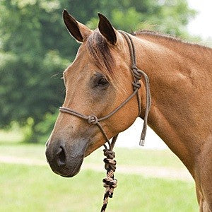 Pro Choice Rope Halter & 10ft Lead Black & Tan-HORSE: Headstalls-Ascot Saddlery