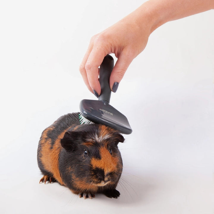 Rabbit Groom Kazoo Brush Slicker-Small Animal-Ascot Saddlery