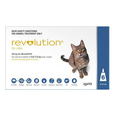 Revolution Cat Blue 6 Pack-Cat Potions & Lotions-Ascot Saddlery