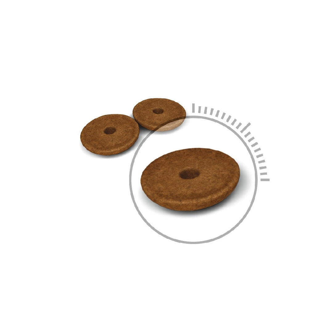 Royal Canin Cat Digestive Care 2kg-Cat Food & Treats-Ascot Saddlery