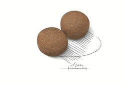 Royal Canin Dog Maxi Adult 4kg-Dog Food-Ascot Saddlery