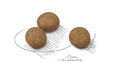 Royal Canin Dog Maxi Puppy 15kg-Dog Food-Ascot Saddlery