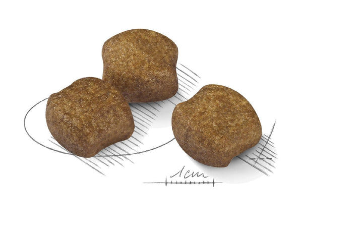 Royal Canin Dog Medium Dental Care 3kg-Dog Food-Ascot Saddlery