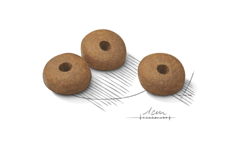 Royal Canin Dog Medium Lightweight Care 3kg-Dog Food-Ascot Saddlery