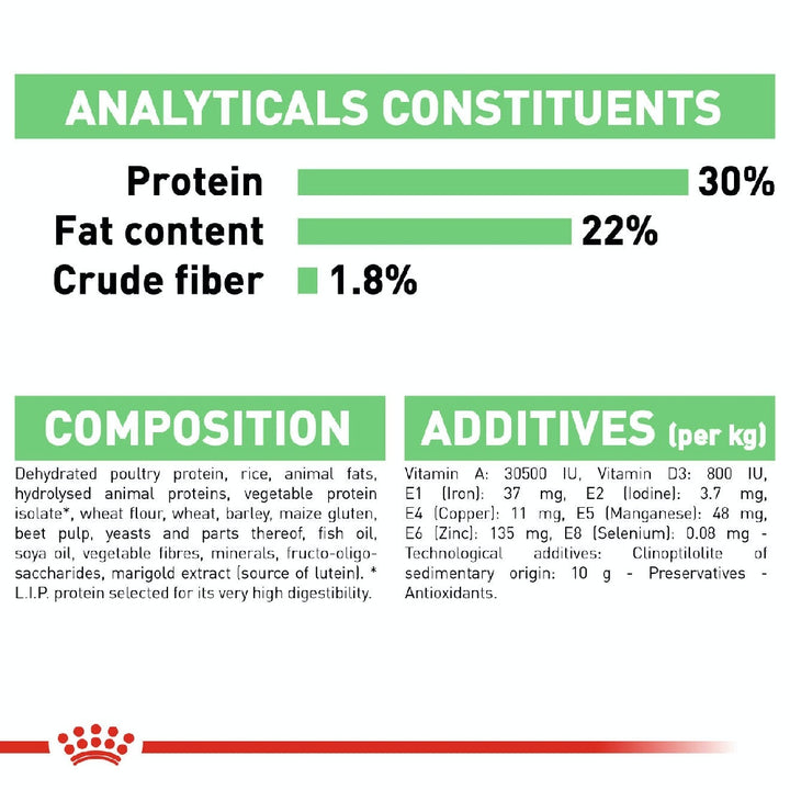 Royal Canin Dog Mini Digestive Care 3kg-Dog Food-Ascot Saddlery
