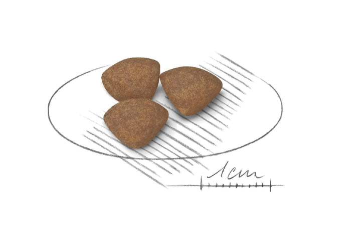 Royal Canin Dog Mini Puppy 8kg-Dog Food-Ascot Saddlery