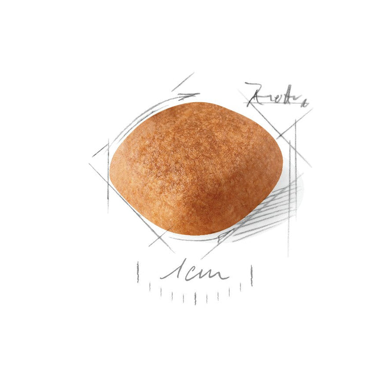 Royal Canin Dog West Highland White Terrier 3kg-Dog Food-Ascot Saddlery