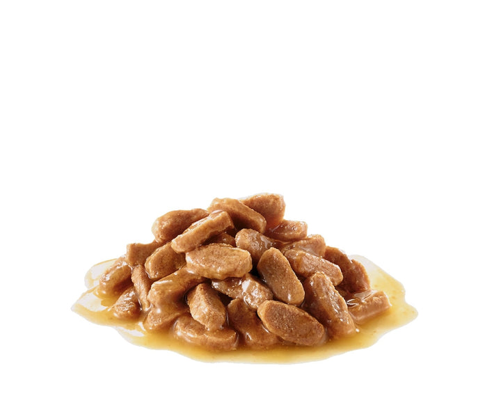 Royal Canin Dog Wet Medium Puppy 140gm Box Of 10-Dog Food-Ascot Saddlery