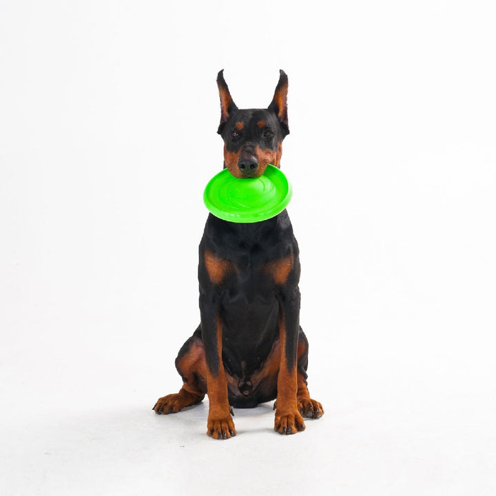 Sassbai Toy Flyber Flying Disk-Dog Toys-Ascot Saddlery