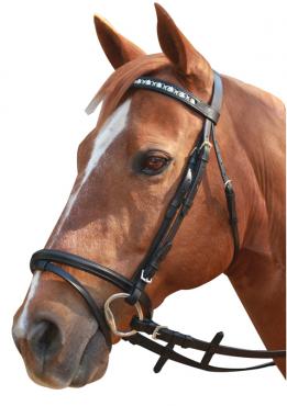 Showcraft Bridle Linking Horsehead Hanoverian Black-HORSE: Bridles-Ascot Saddlery