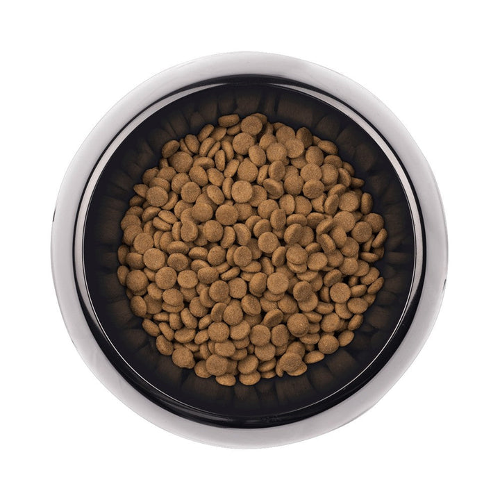 Supercoat Purina Dog Adult Senior Fish 2.6kg-Dog Food-Ascot Saddlery