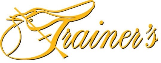 Trainers Royal Show Saddle Brown-SADDLES: Dressage Saddles-Ascot Saddlery