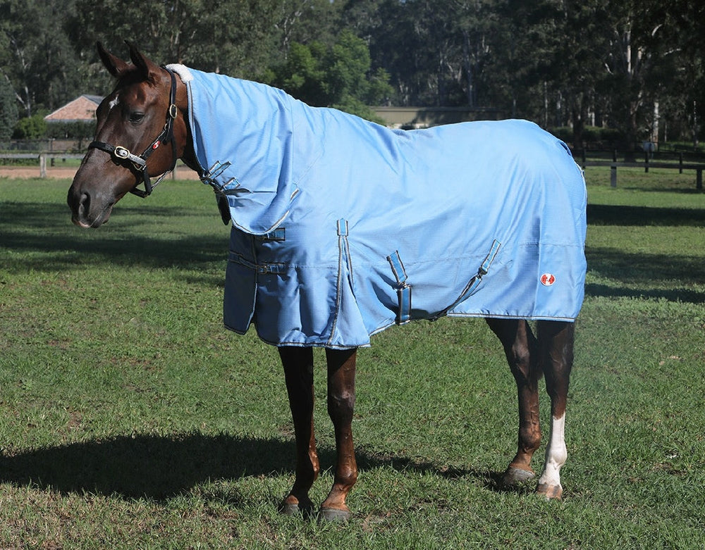 Zilco Guardian Combo-RUGS: Summer Rugs, Neck Rugs & Hoods-Ascot Saddlery