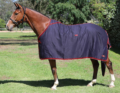 Zilco Show Circuit Cotton Rug-RUGS: Summer Rugs, Neck Rugs & Hoods-Ascot Saddlery