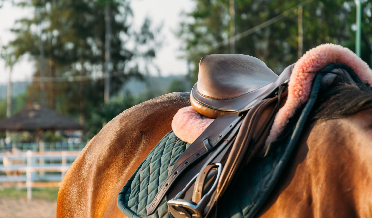 Dressage saddle and green saddle cloth fitted on a chestnut horse's back at an arena