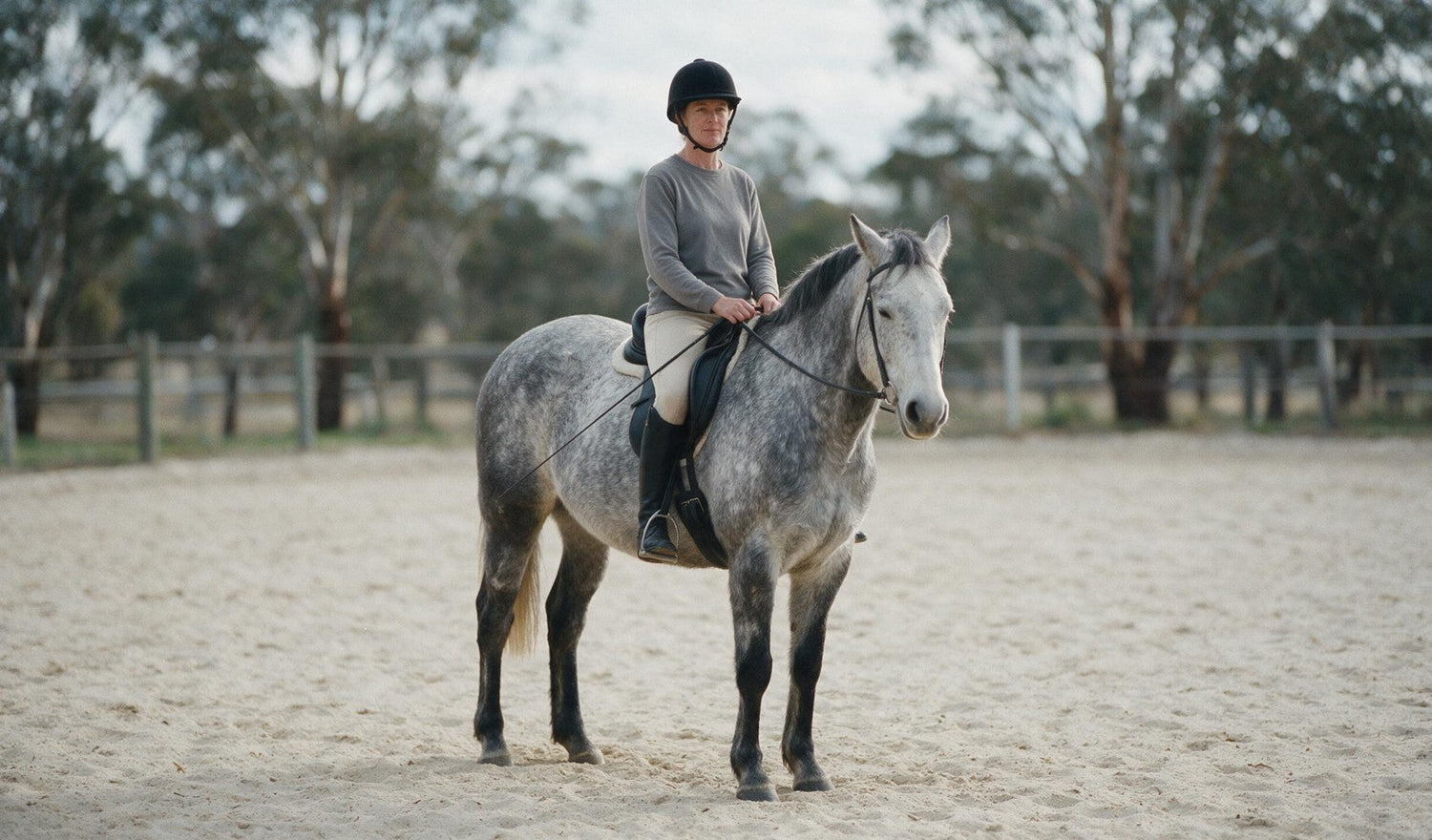 Riding Crop or Dressage Whip? How to Choose the Right One