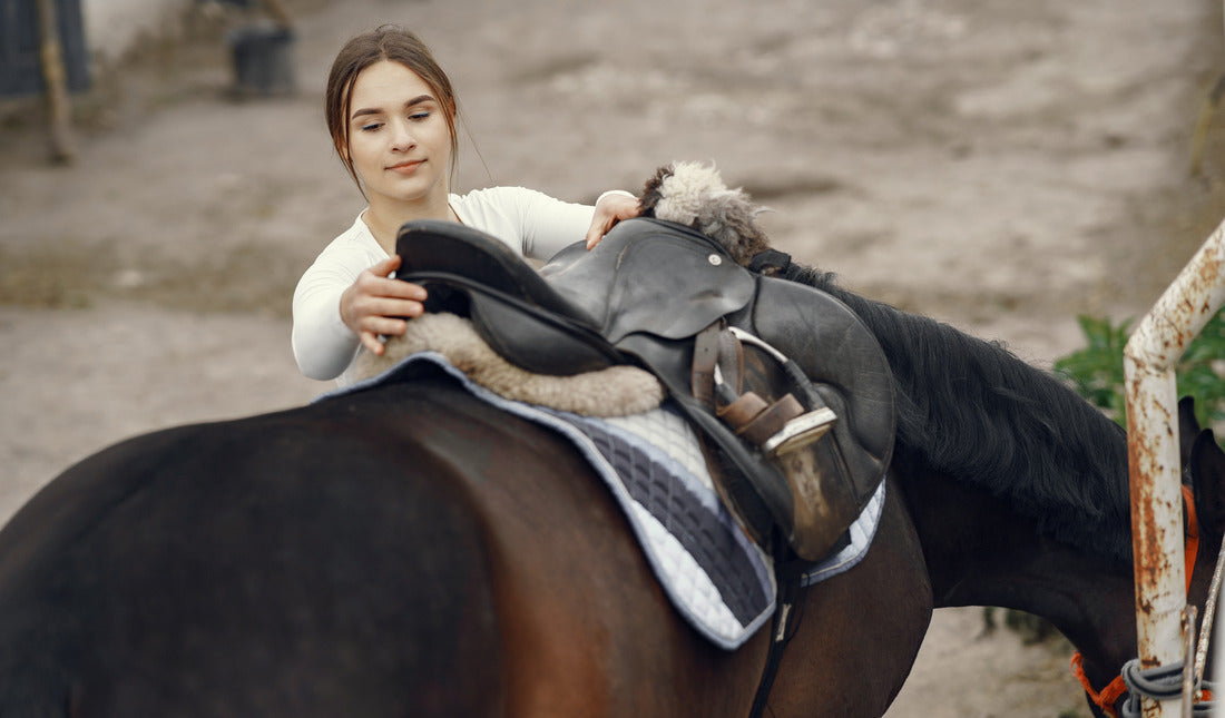 Saddle Fitting Explained: How to Tell What's Wrong Before You Buy a New Saddle