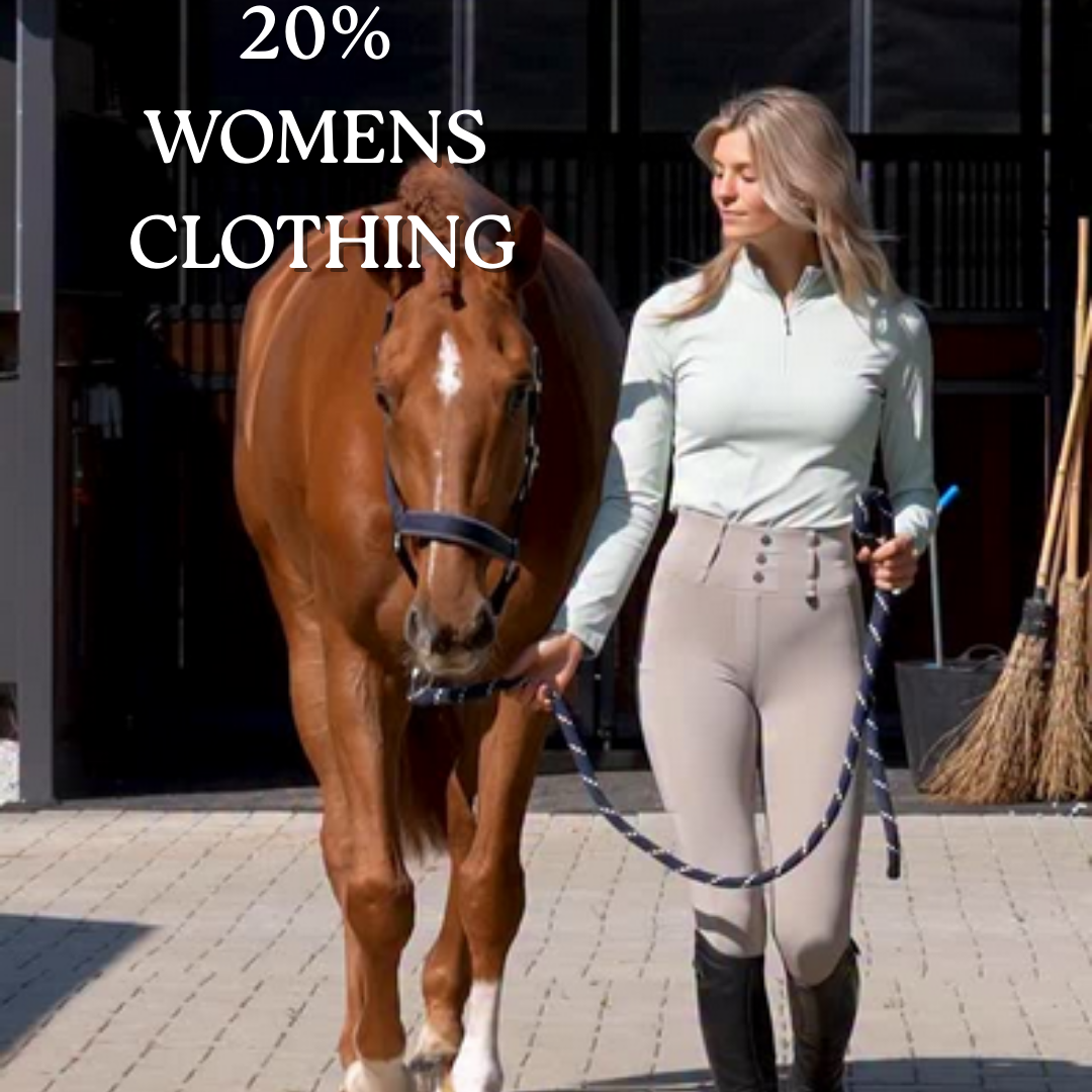 Person Leading horse wearing jodhpurs