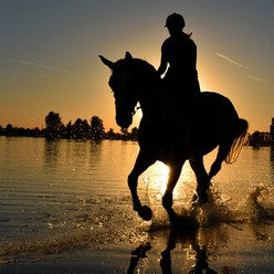 Horse and rider riding at the beach at sunset