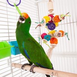 Bird in cage playing with Toy