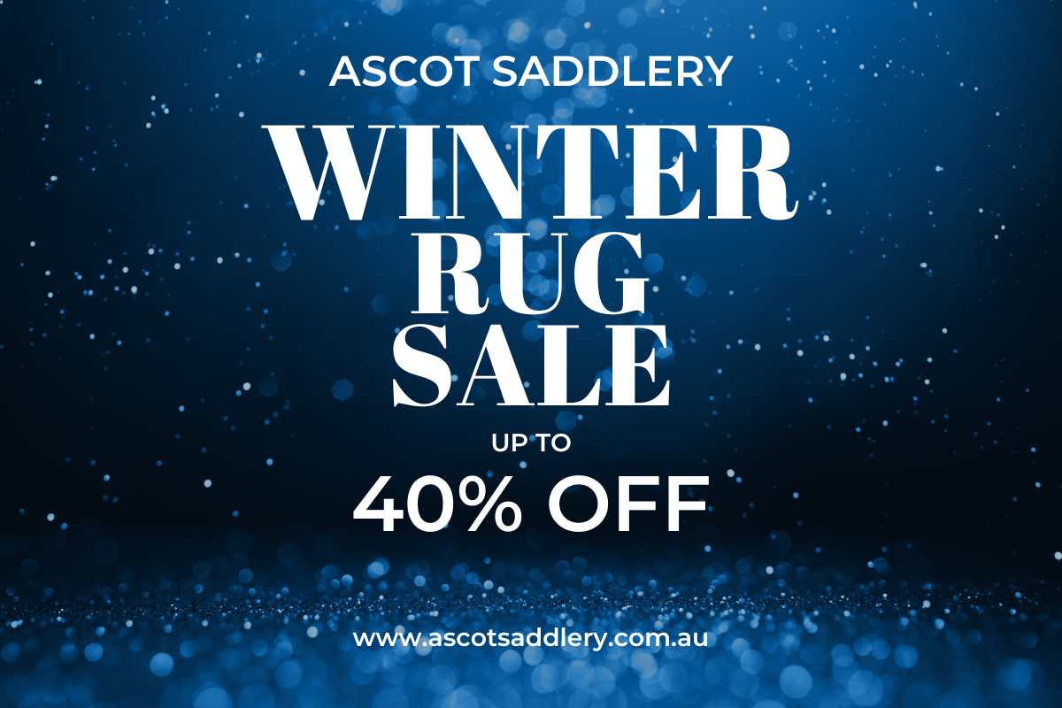 Rug Sale on Blue background