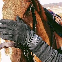 horse head with  gloved hand on face