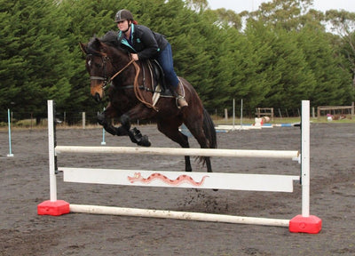Rider and Horse jumping
