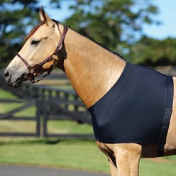 Horse wearing Wonder Coat
