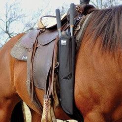 Horse with Western Saddle