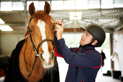 Man wearing helmet adjusting horses bridle