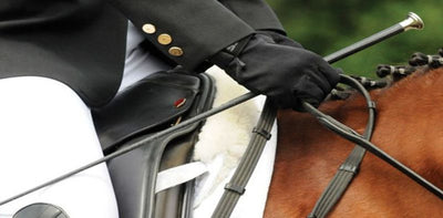 gloved hand of rider holding dressage whip