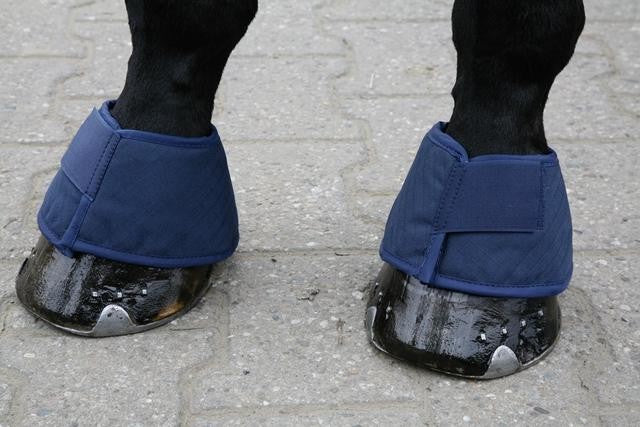 Bell Boots Water Waldhausen Large